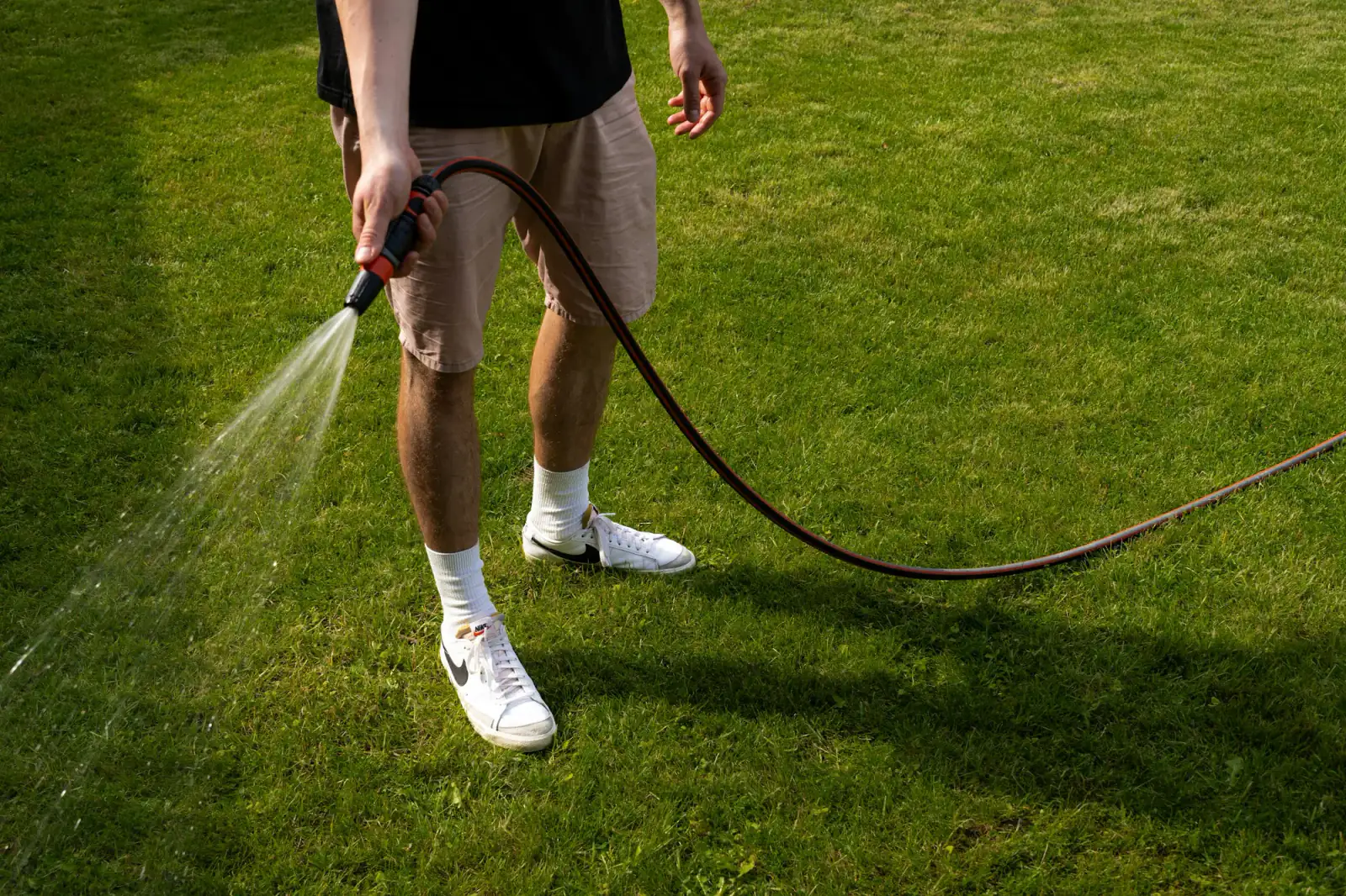 Hose watering a healthy green lawn